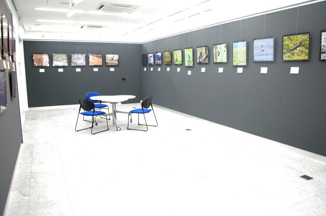 貸しギャラリー 貸し画廊 1階 エッサム神田ギャラリー 東京都内の貸会議室ならエッサム神田ホール