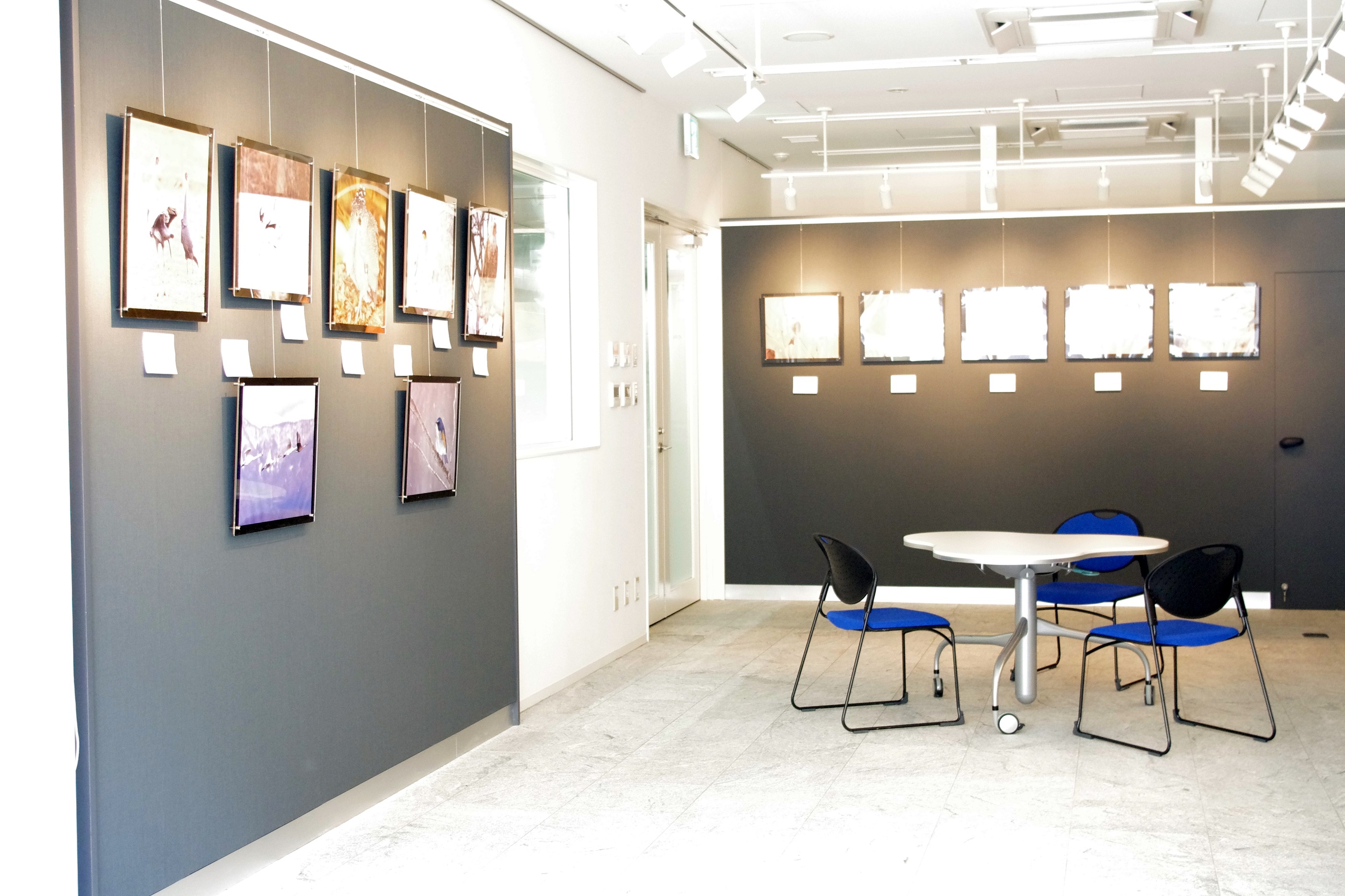 貸しギャラリー 貸し画廊 1階 エッサム神田ギャラリー 東京都内の貸会議室ならエッサム神田ホール