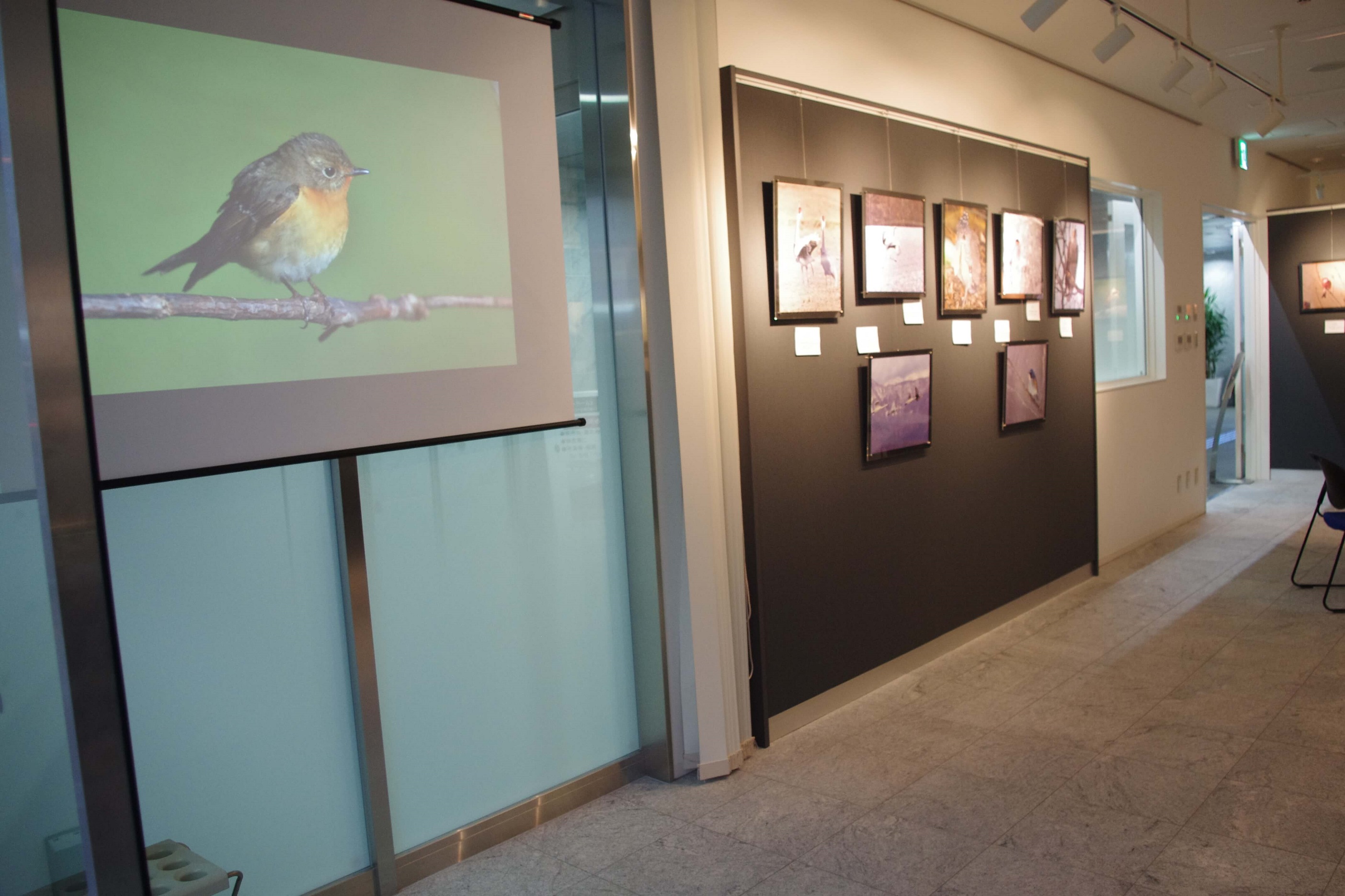 貸しギャラリー 貸し画廊 1階 エッサム神田ギャラリー 東京都内の貸会議室ならエッサム神田ホール